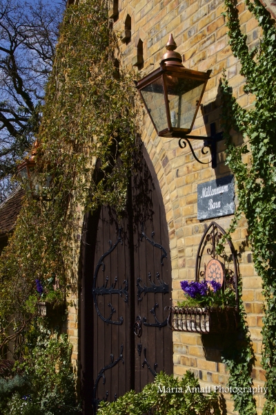 Old Thatch & The Millennium Barn